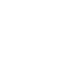 WordPress Website